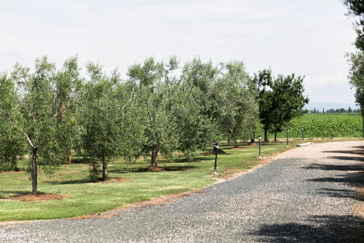 Agriturismo Valdo Grosseto Exteriér fotografie