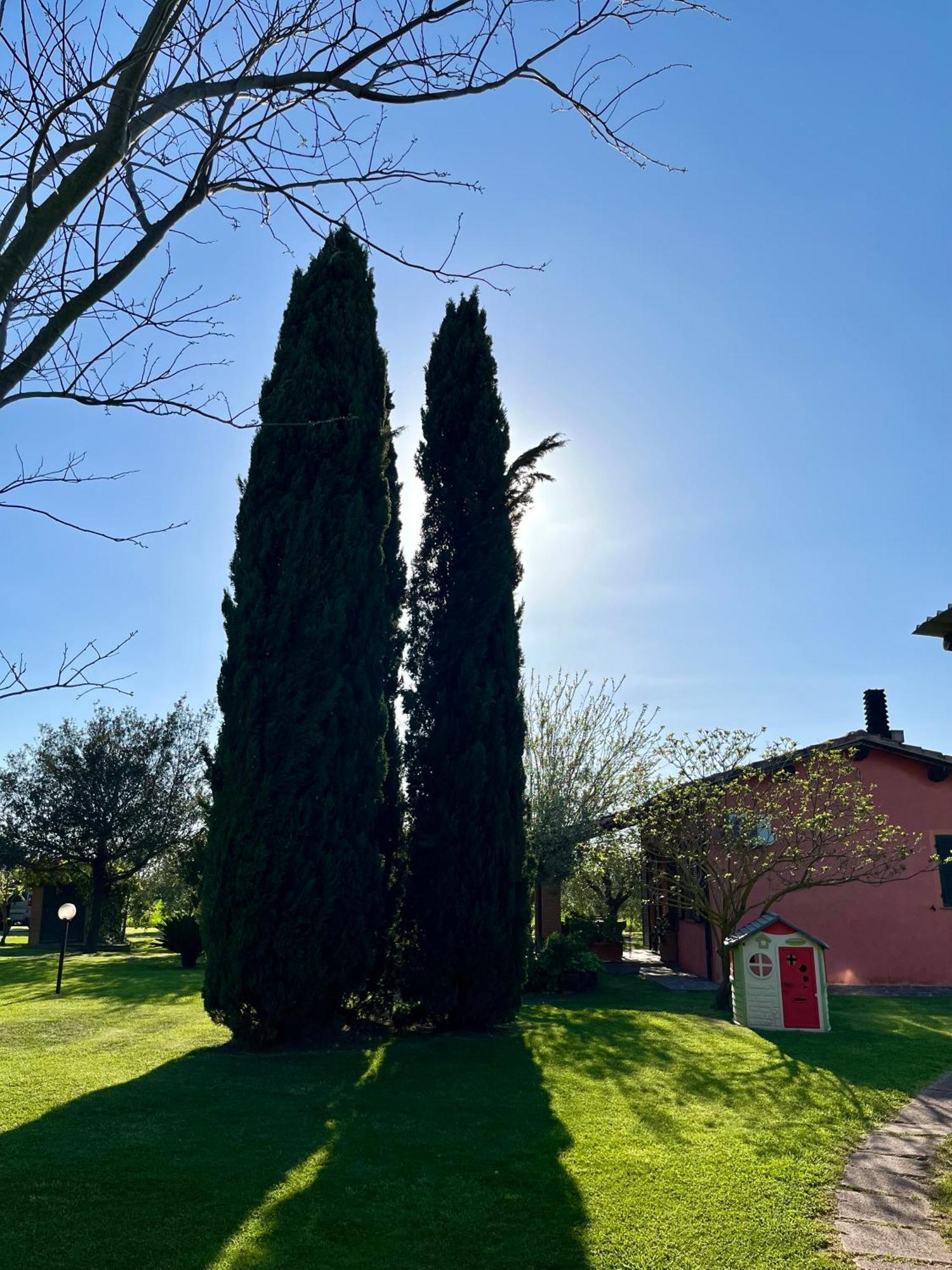 Agriturismo Valdo Grosseto Exteriér fotografie