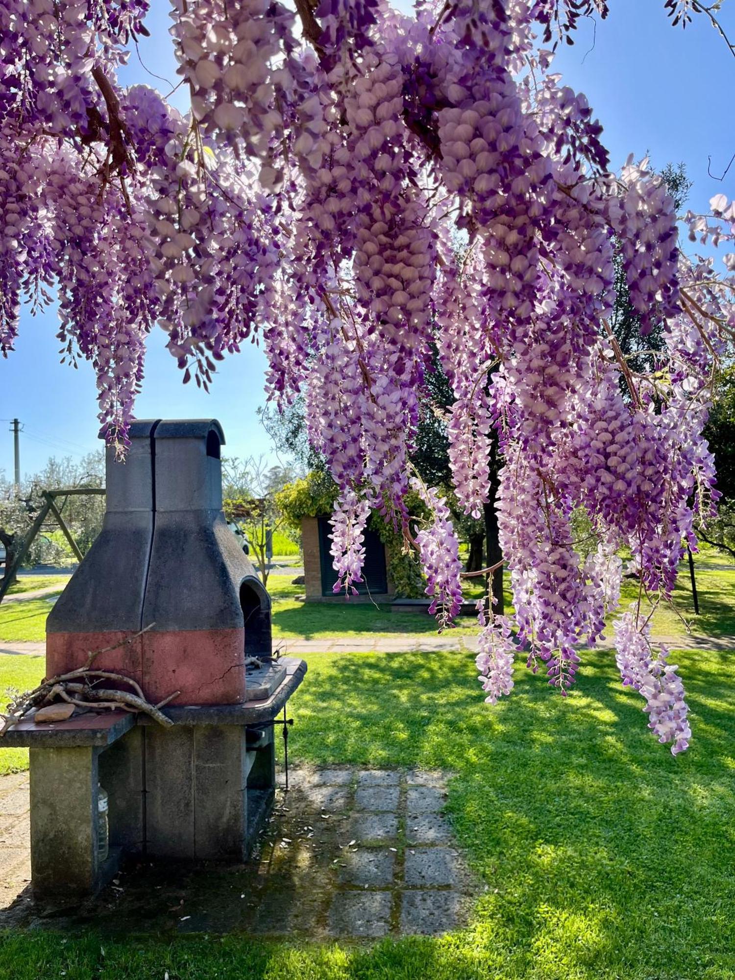 Agriturismo Valdo Grosseto Exteriér fotografie