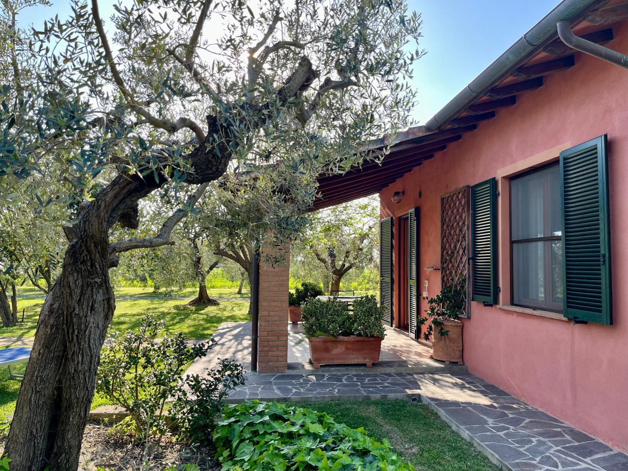 Agriturismo Valdo Grosseto Exteriér fotografie