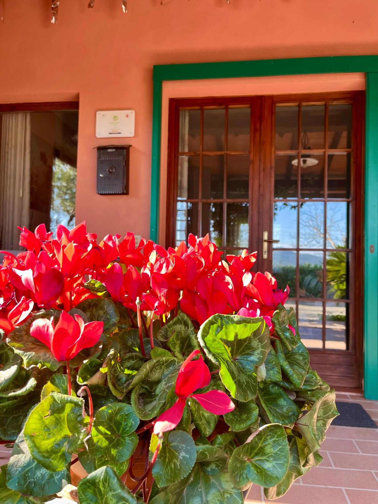 Agriturismo Valdo Grosseto Exteriér fotografie